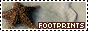 AFF%2BFOOT%2B2.gif